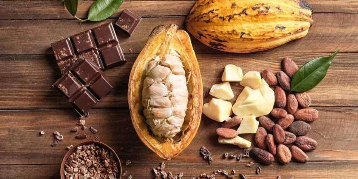 Dark Chocolate's Role in Men's Erectile Health