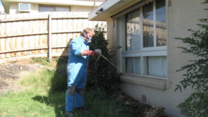 Pest Control Melbourne - Termite Treatment Greensborough