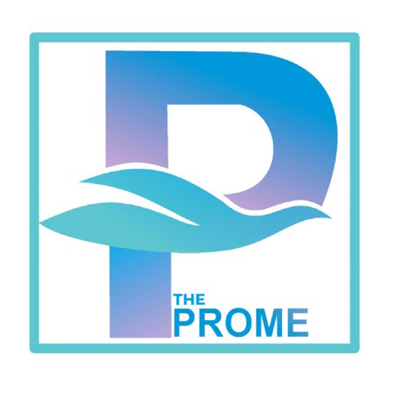 THE PROME Profile Picture