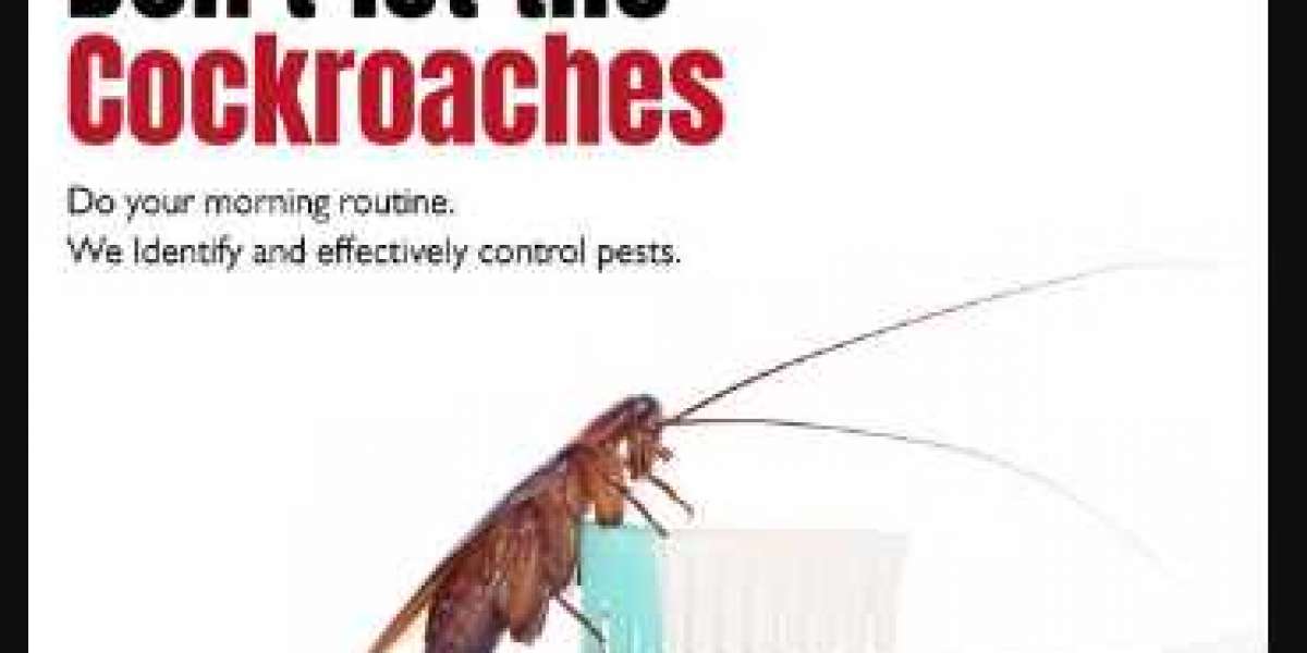 Understanding Cockroach Behavior and Effective Control Strategies