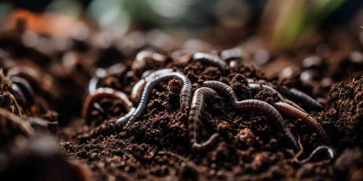 Global Earthworm Farming Market: Exploring Sustainable Solutions for Soil Health Management