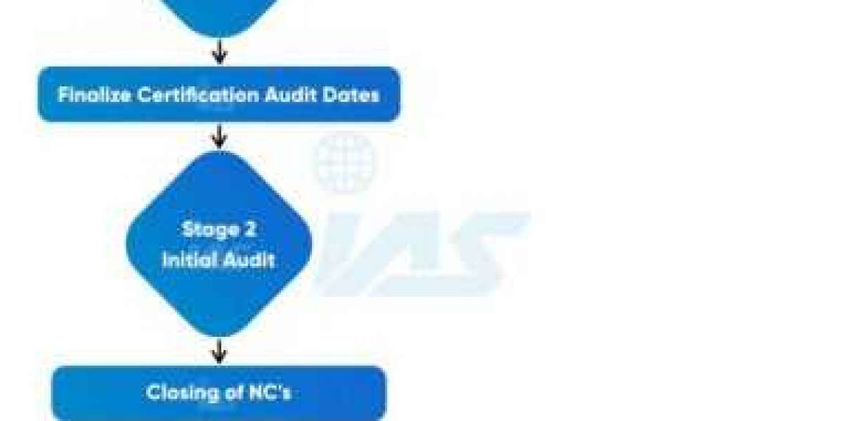 Navigating the Audit Procedure: A Comprehensive Guide