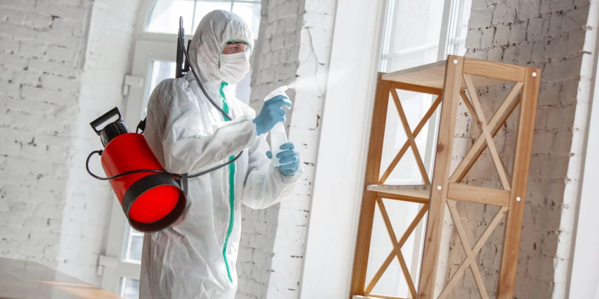 Effective Pest and Wasp Control Services in Surrey: Mega Pest Control's Expert Approach