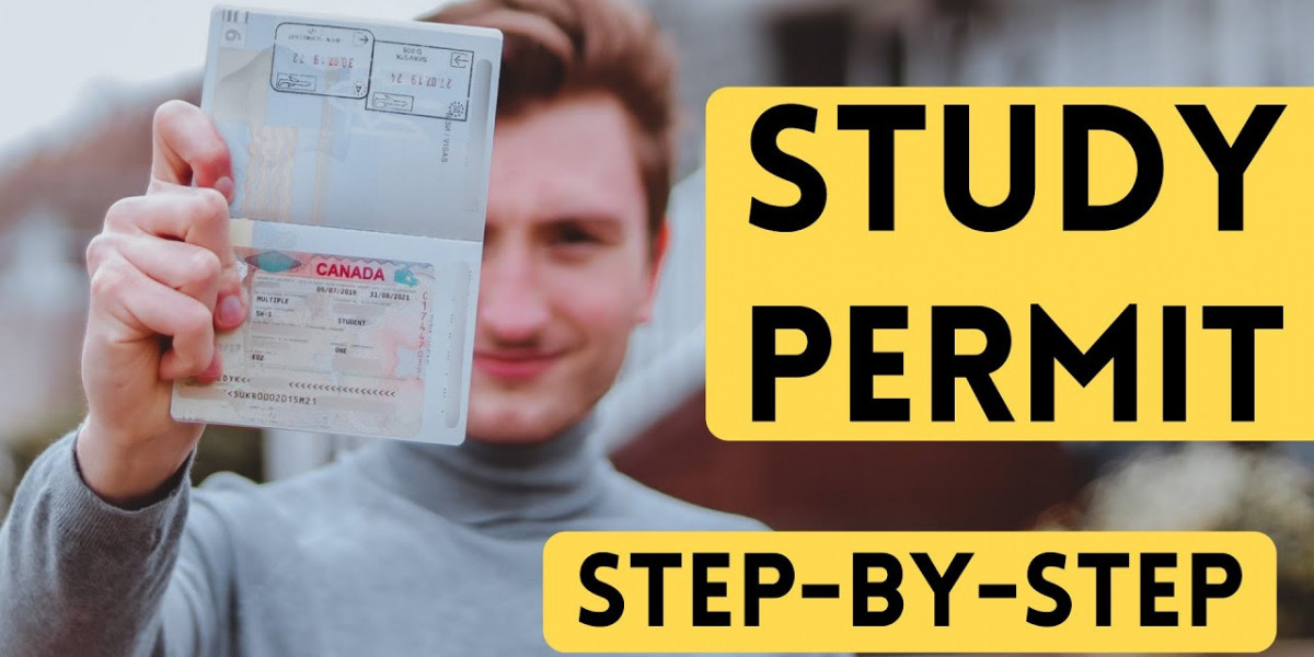 How to Successfully Apply for a Study Permit