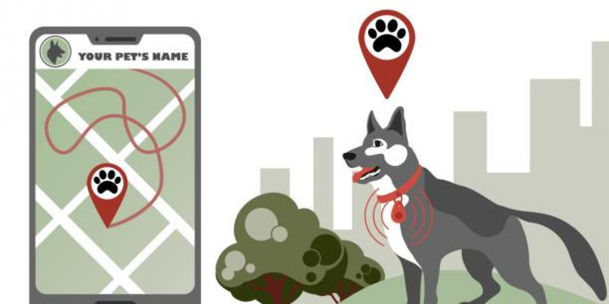 Budget-Friendly Dog Tracker: No Subscription Needed