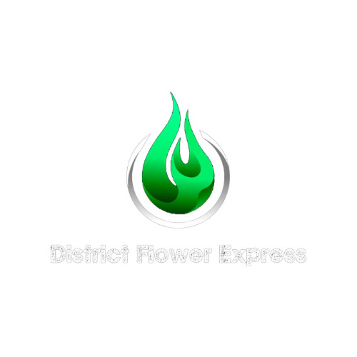 District flower express Profile Picture