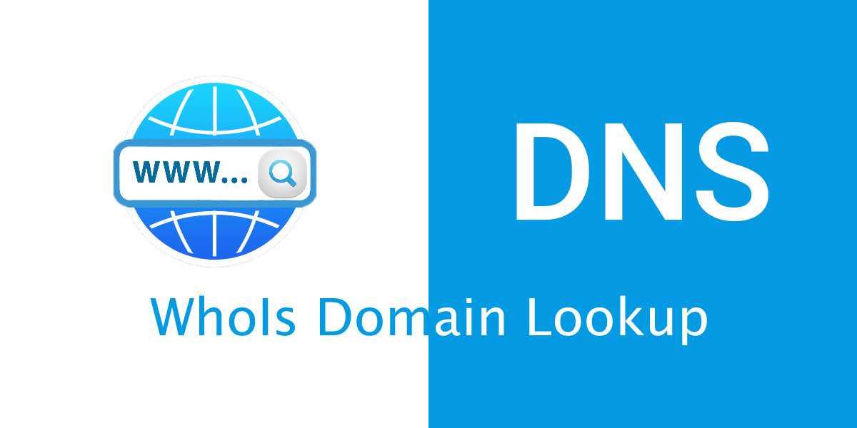 Understanding WHO IS Domain Lookup: An Essential Tool for Website Owners