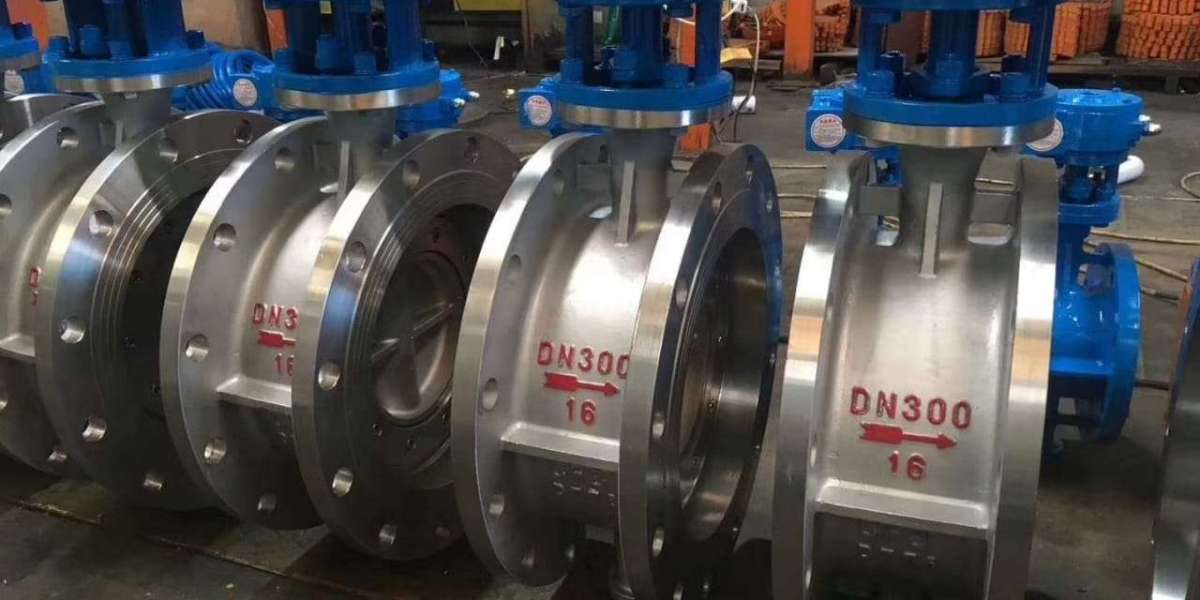 Double Offset Butterfly Valve Manufacturers