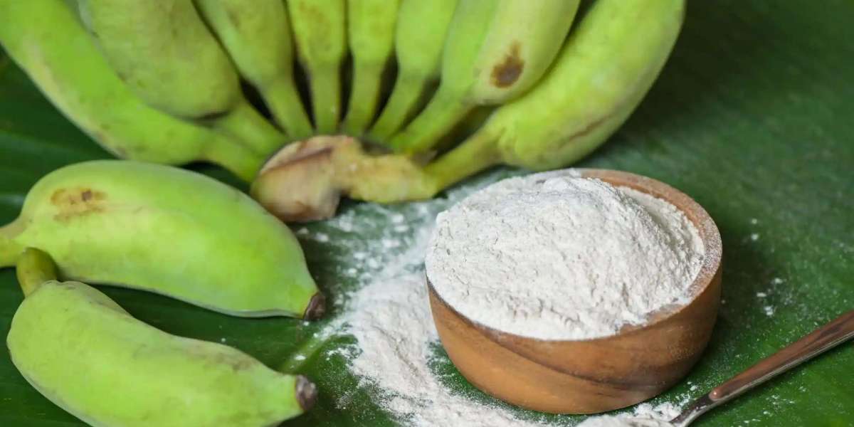 Banana Powder Manufacturing Plant Report 2024: Raw Material Requirements, Cost and Economics