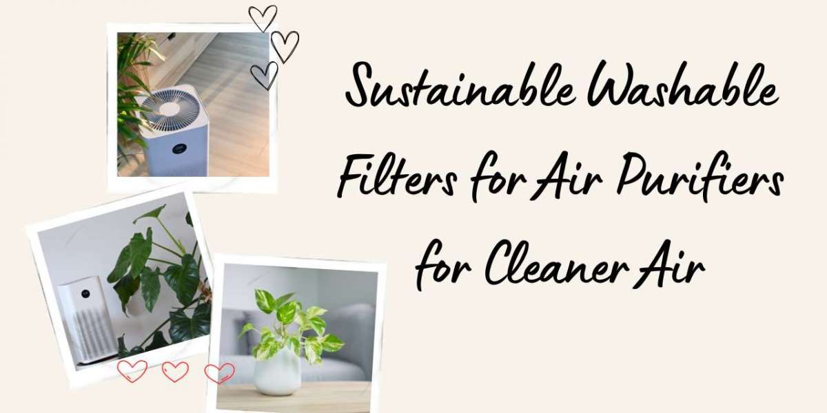 Sustainable Washable Filters for Air Purifiers for Cleaner Air