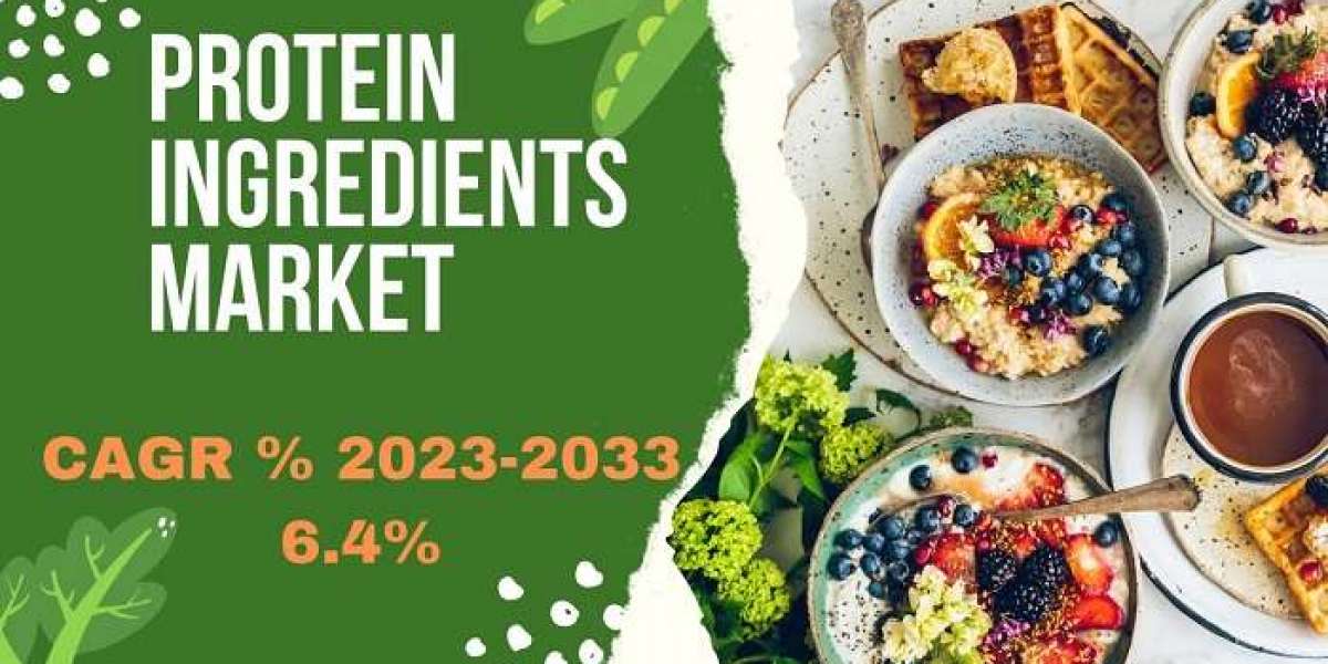 Protein Ingredients Market Report Includes Dynamics, Products, and Application 2024 –  2033