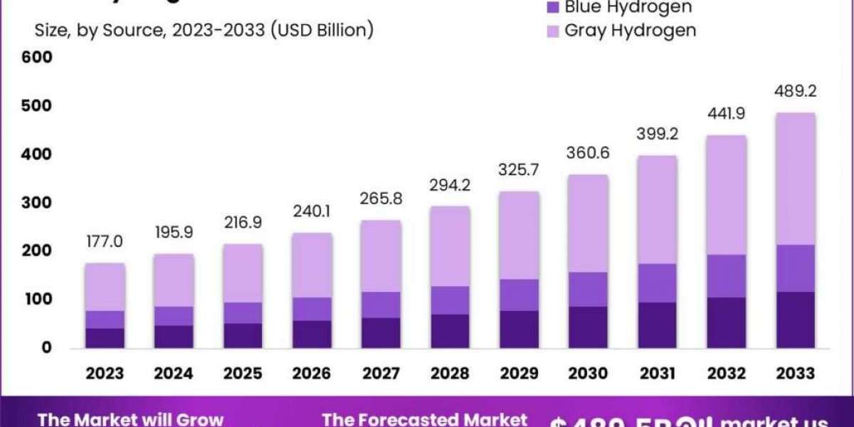 Hydrogen Generation Market 2024: Investment Opportunities and Market Leaders