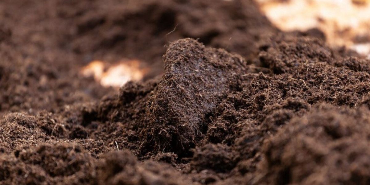 The importance of Topsoil | Why it Needs Attention