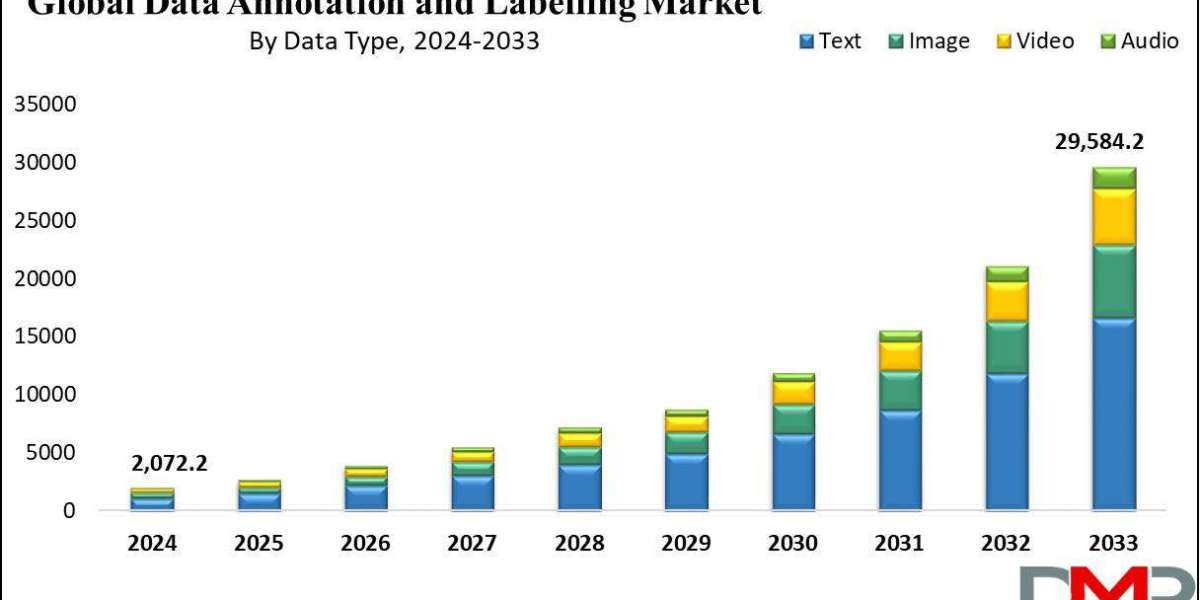 Data Annotation and Labelling Market Analysis: Trends, Innovations, and 2024 Forecast Study