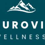 Natural Ville Wellness Profile Picture