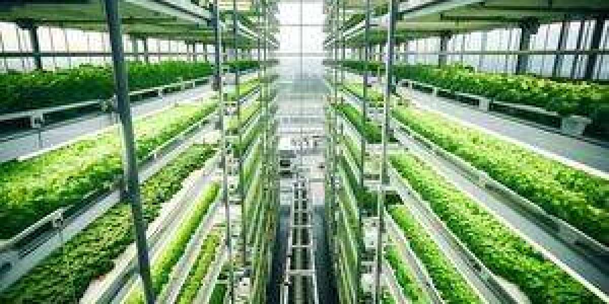 Vertical Farming Market Growth and Industry Forecast Report 2035