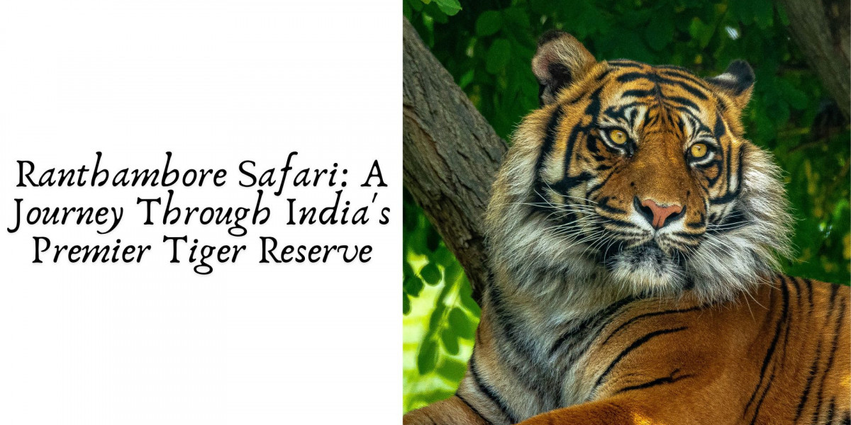 Ranthambore Safari: A Journey Through India's Premier Tiger Reserve