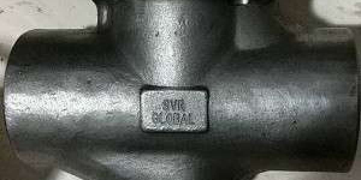 Steam Trap Supplier in Algeria