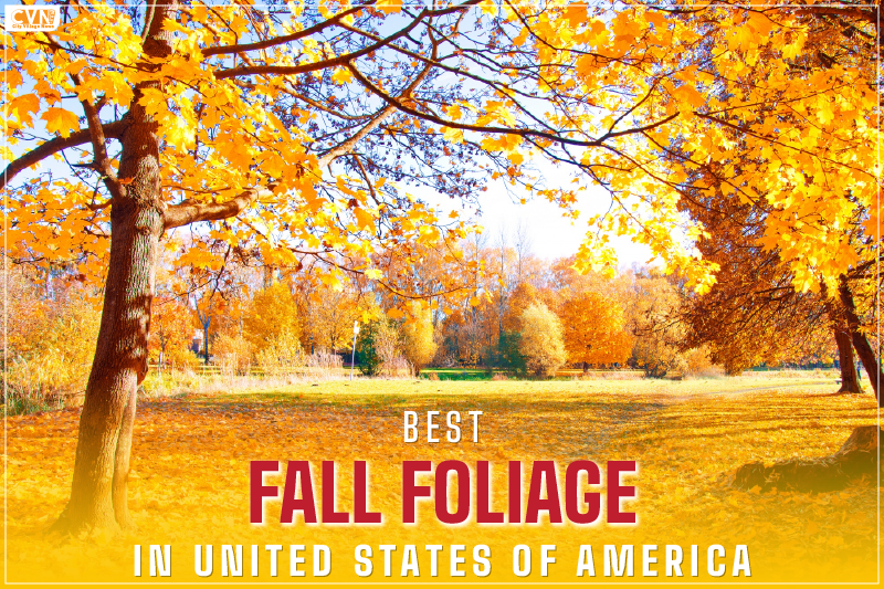 Best Fall Foliage in USA: Best Small Towns to Visit for an Autumn Adventure