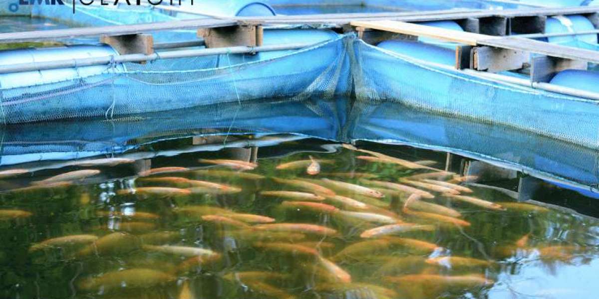 Fish Farming Market Size, Analysis, Growth, Trends & Industry Forecast 2024-2032