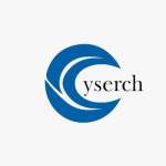 cyserchsec security Profile Picture