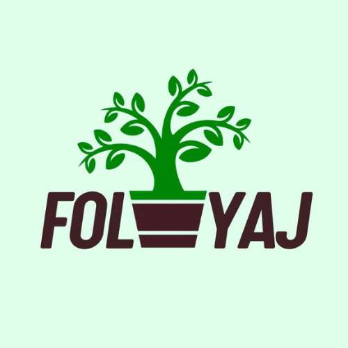 Foliyaj Profile Picture