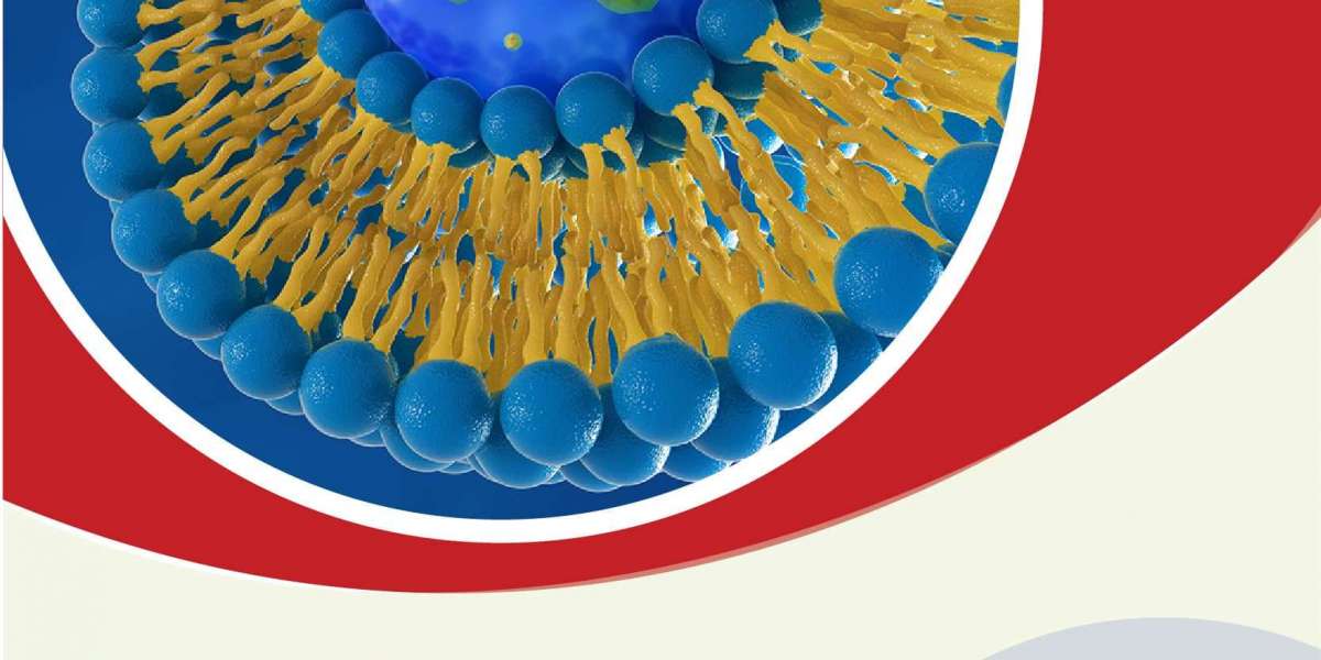 Lipid Nanoparticles Market Innovation Hub: Innovators and Market Dynamics 2024-2032