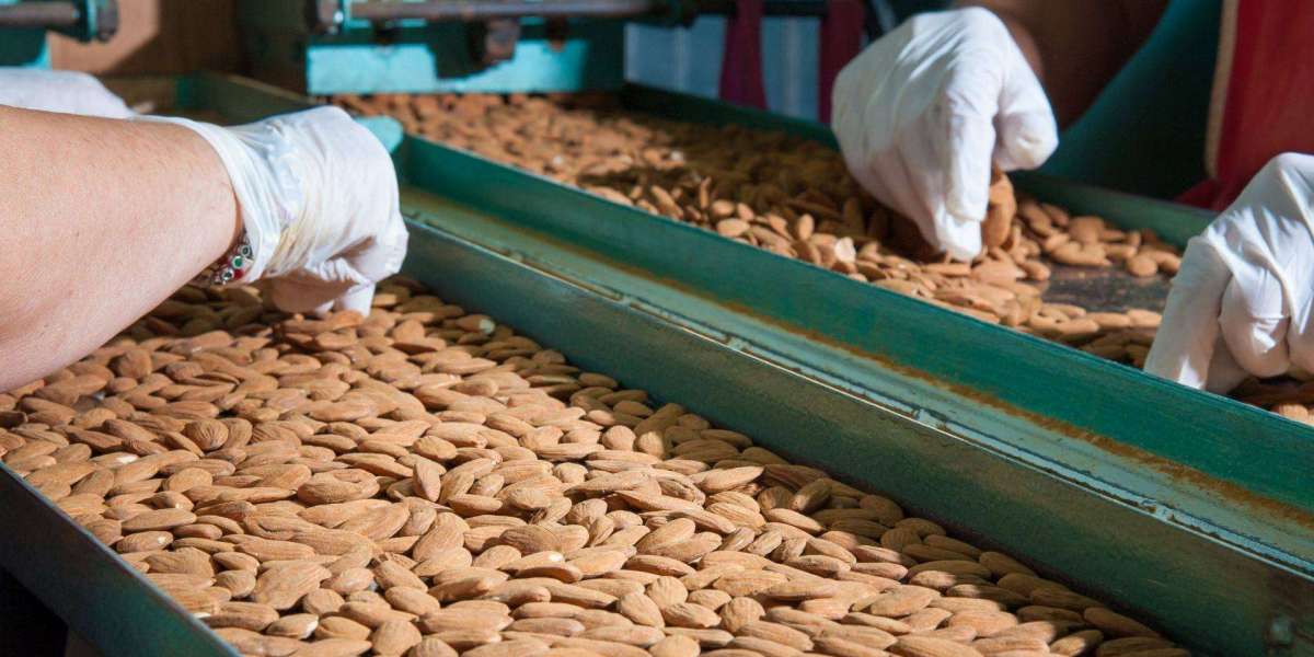 Almond Processing Plant Project Report- Detailed Process Flow, Unit Operations and Machinery Requirements