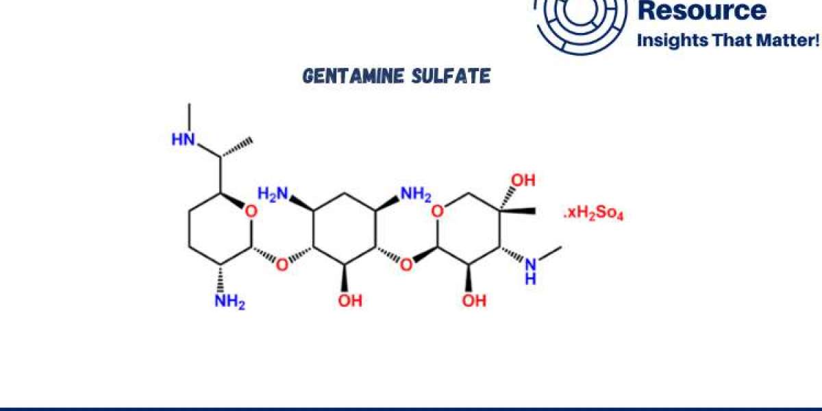 In-depth Report on Gentamine Sulfate Production Process with Cost Analysis