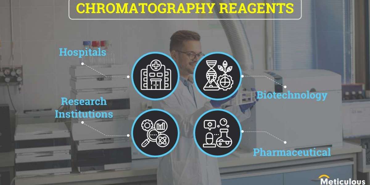 Chromatography Reagents Market: Impact of Environmental Regulations on Market Dynamics