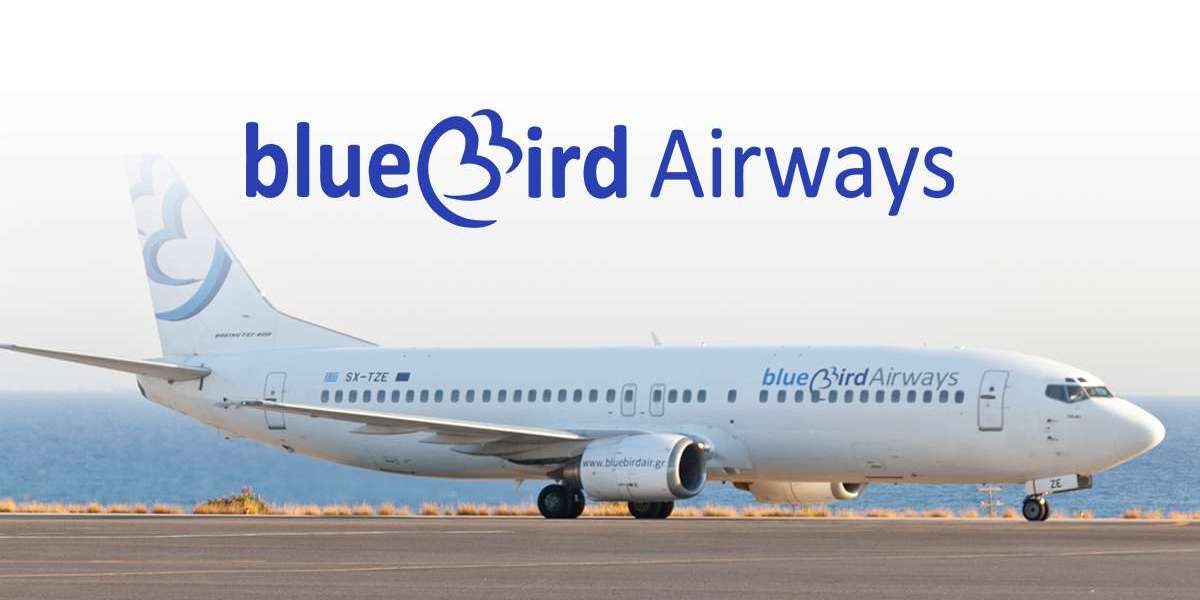 Blue Bird Airways Check In