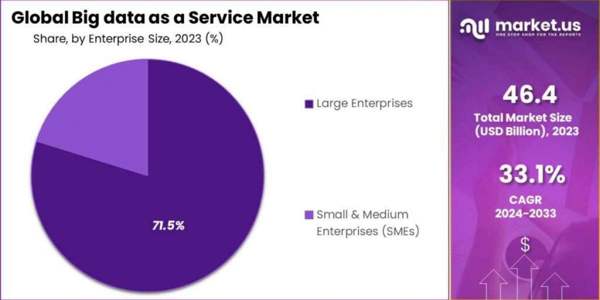 Big Data as a Service Market Impact: Transforming Data Access and Analytics