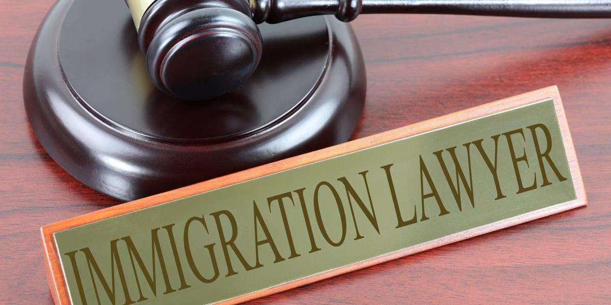 Finding the Best Immigration Solicitors in Ireland: Your Essential Guide