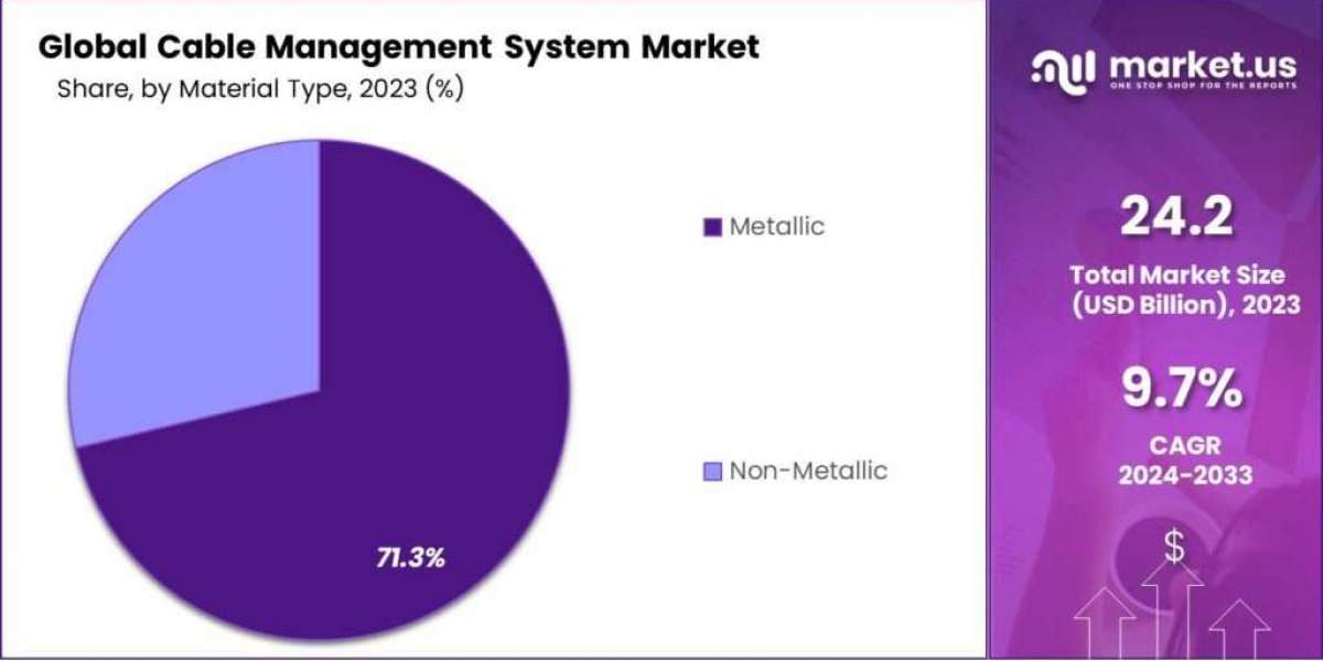 Cable Management System Market Growth: Structured Connectivity