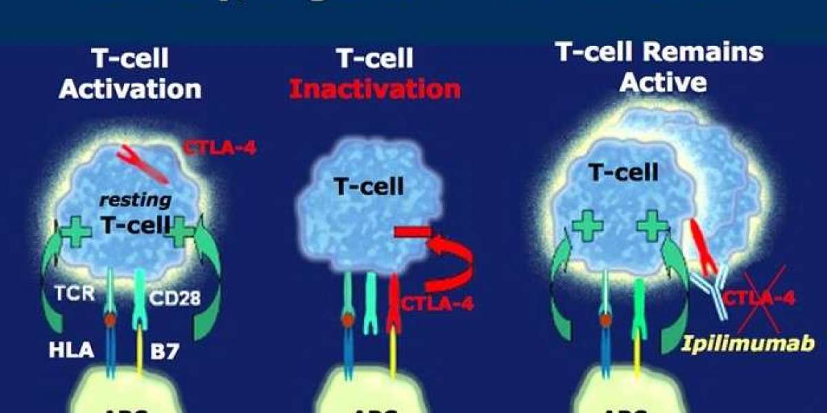 Ipilimumab Market Research Trends Analysis by 2024-2034