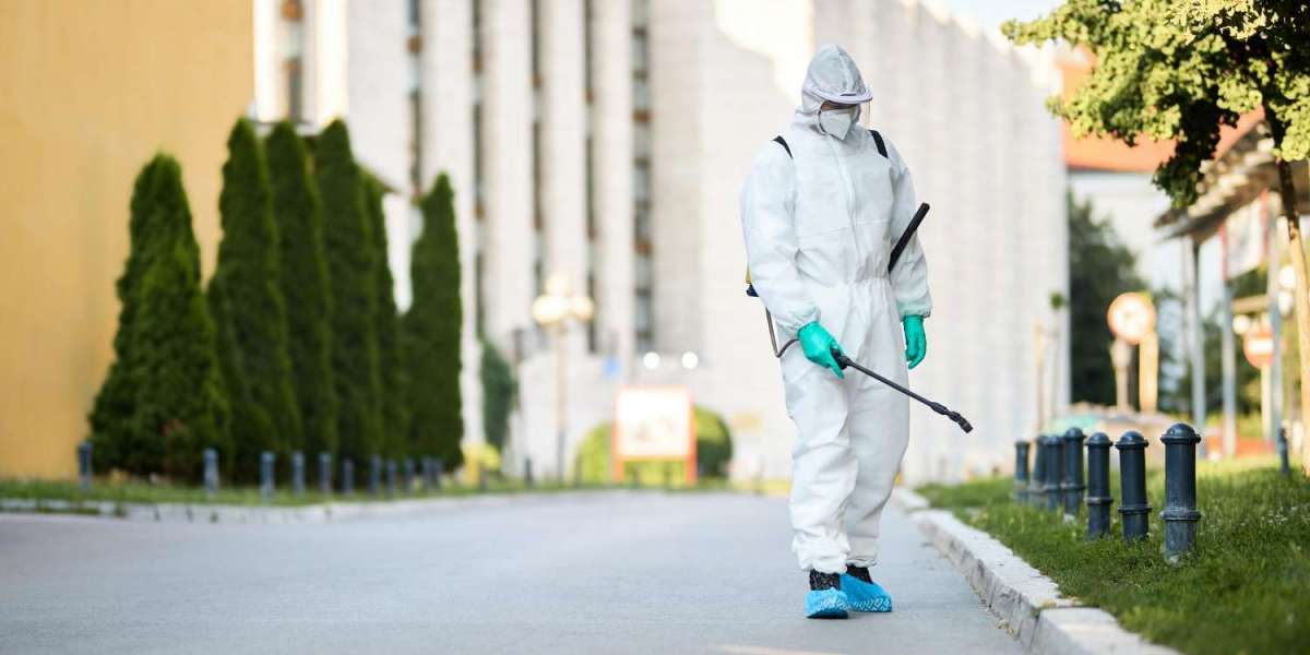 Effective Rodent Control Near Me: Top-Rated Pest Control Services