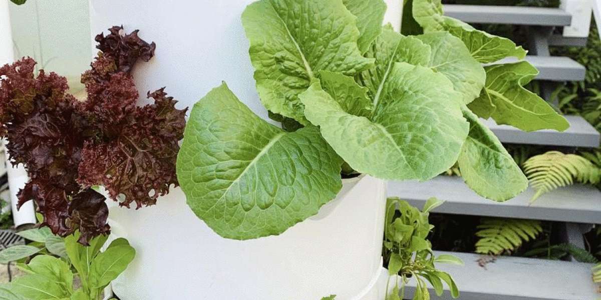 Vertical Farming Market Size, Share, Challenges and Growth Analysis Report 2035