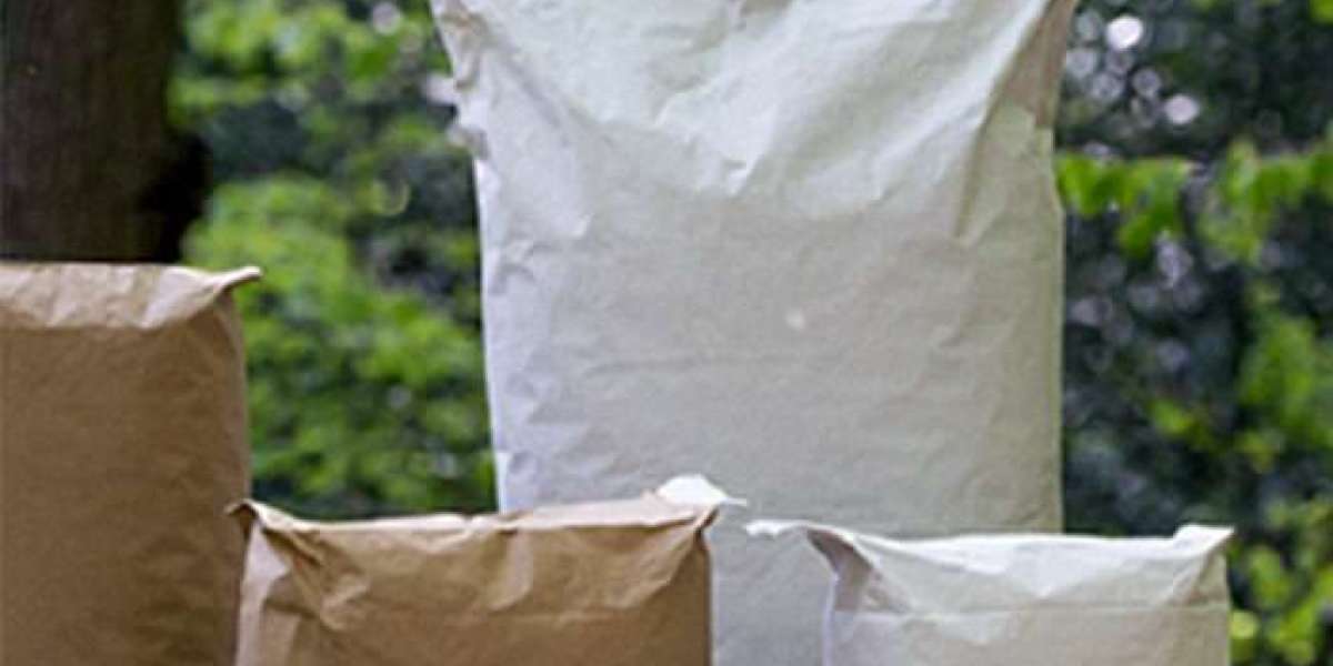 Guide to Setting Up a Cement Based Paper Bags Manufacturing Plant