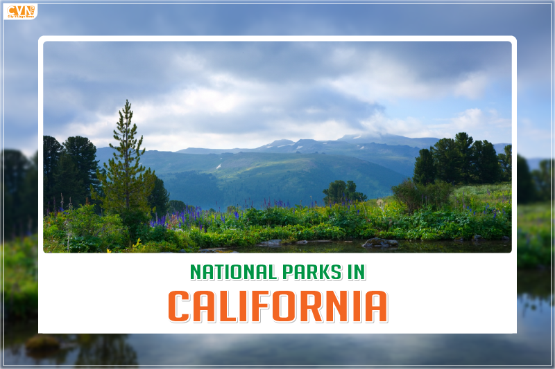 National Parks in California that are Worth Visiting