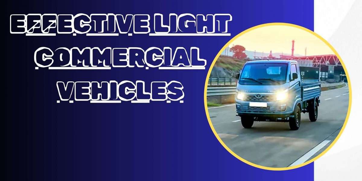 Top Cost - Effective Light Commercial Vehicles for Startups