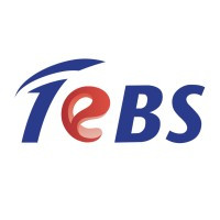 Total eBiZ Solutions Profile Picture