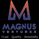 Magnus Ventures profile picture