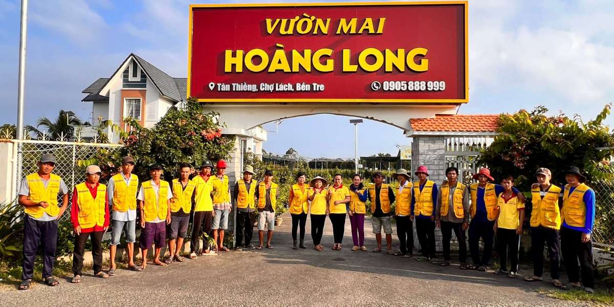 Top 6 địa chỉ mua mai vàng đẹp nhất Sài Gòn