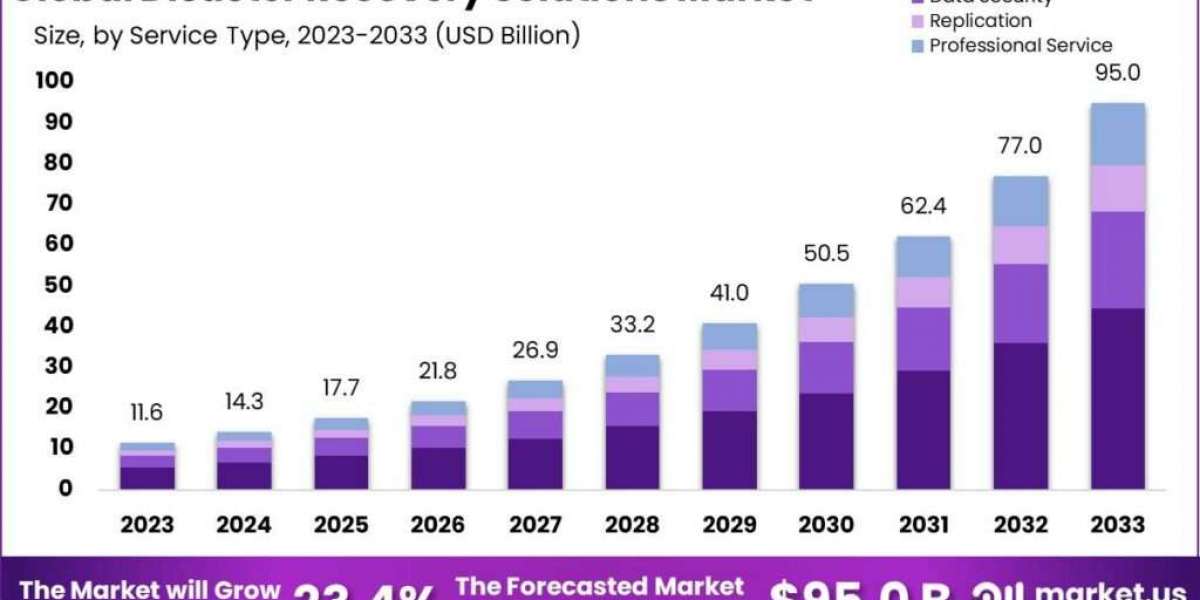 Disaster Recovery Solutions Market: Building Robust Safety Nets