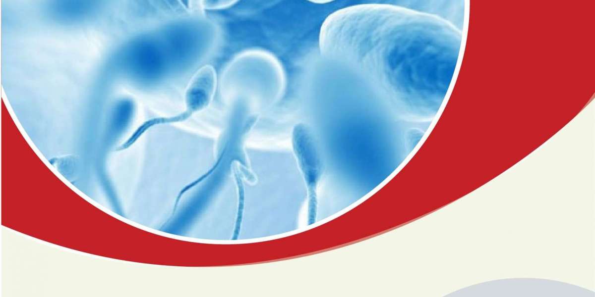 Spermicides Market 2024-2032's Leading Market Trends