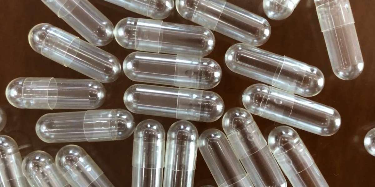 Business Plan to Setup a Empty Capsule Manufacturing Plant: Project Report 2024