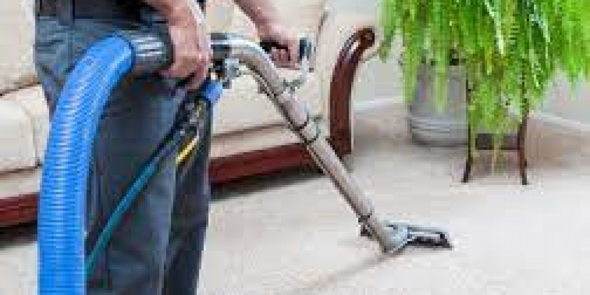 Professional Carpet Cleaning: Key to a Beautiful Home