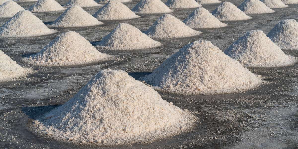 Exploring the World's Leading Salt Exporters