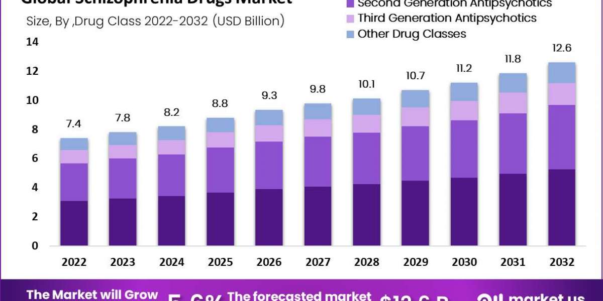 Schizophrenia Drugs Market: Key Drivers and Challenges in the Next Decade