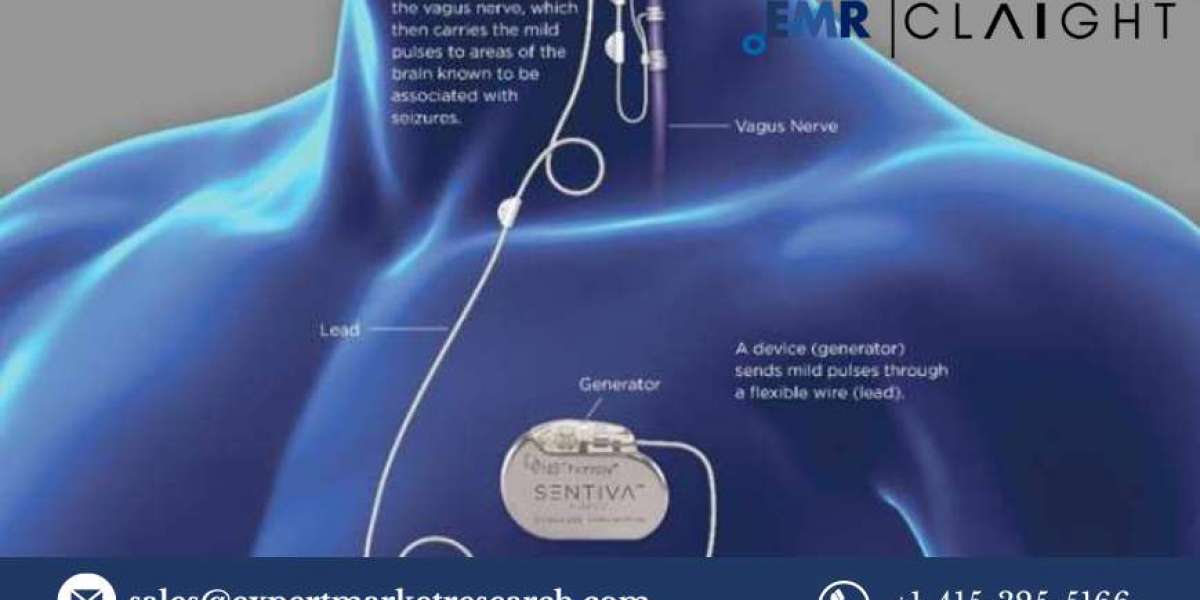 Neuromodulation Devices Market: Delving Deeper into a Transformative Medical Technology 2032